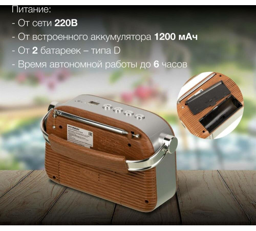 Радиоприемник HYUNDAI H-PSR200 дерево коричневое/серебро