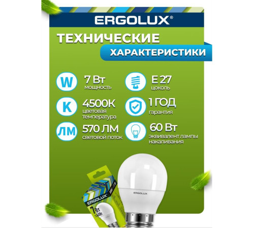 ERGOLUX (12145) LED-G45-7W-E27-4K