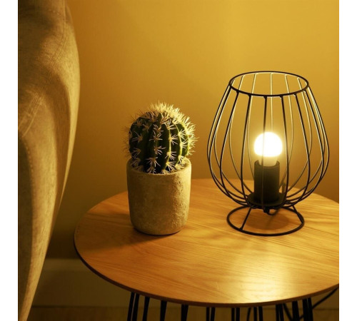 ERGOLUX (12145) LED-G45-7W-E27-4K