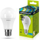 ERGOLUX (12149) LED-A60-10W-E27-4K
