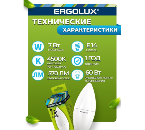 ERGOLUX (12135) LED-C35-7W-E14-4K