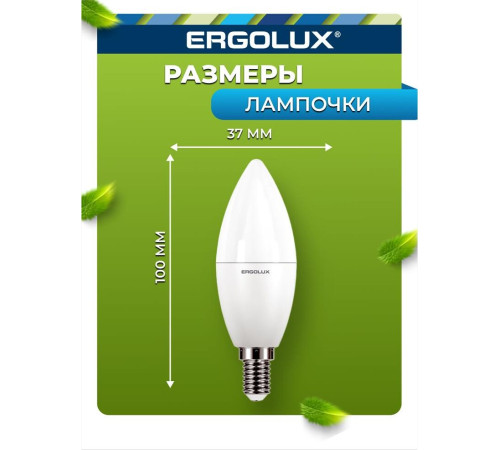 ERGOLUX (12135) LED-C35-7W-E14-4K