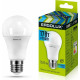 ERGOLUX (13180) LED-A60-17W-E27-4K