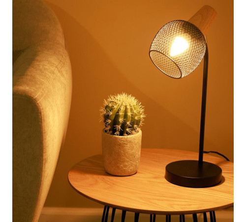 ERGOLUX (12134) LED-C35-7W-E14-3K