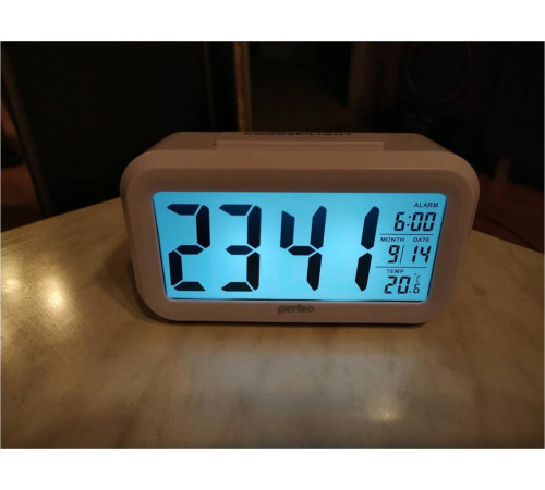 PERFEO (PF_A4848) SNUZ - PF-S2166 белый