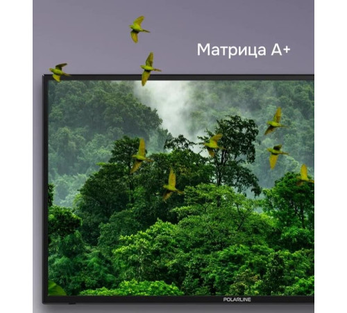 POLARLINE 32PL54TC FHD