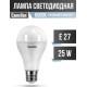 CAMELION (13573) LED25-A65/865/E27/6500K