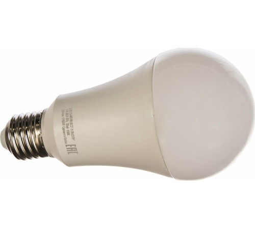 CAMELION (13573) LED25-A65/865/E27/6500K