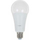 CAMELION (13164) LED20-A65/830/E27