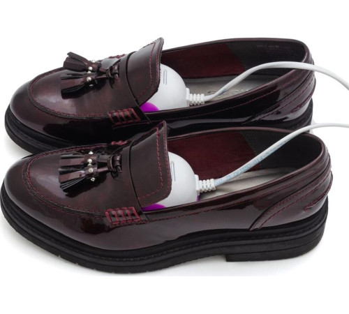 TIMSON 2440 Smart (для обуви) ультрофиолет