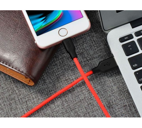 HOCO (6957531071372) X21 USB (m) - 8 Pin (m) 1.0m - красный/черный