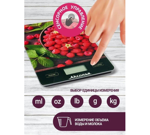 АКСИНЬЯ КС-6502 