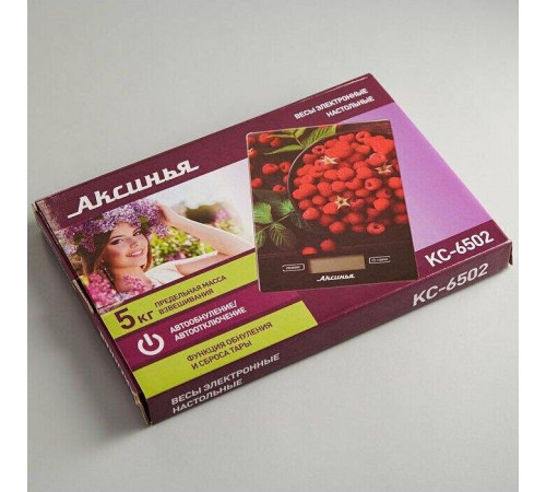 АКСИНЬЯ КС-6502 
