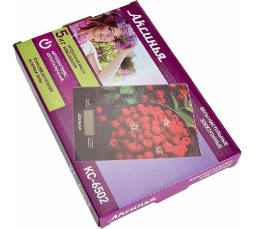 АКСИНЬЯ КС-6502 