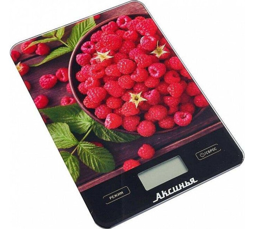 АКСИНЬЯ КС-6502 