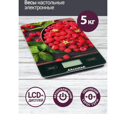 АКСИНЬЯ КС-6502 