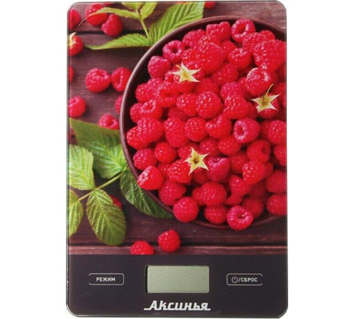 АКСИНЬЯ КС-6502 