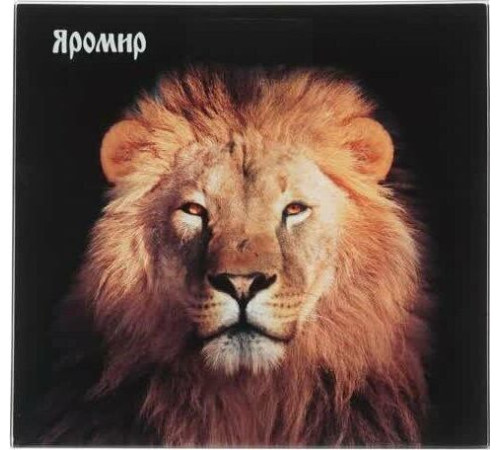 ЯРОМИР ЯР-4206 