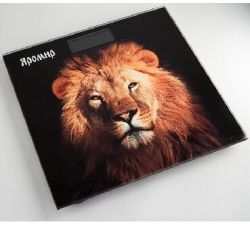 ЯРОМИР ЯР-4206 