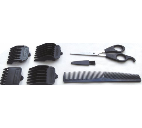 БЕРДСК В.ЭМ.06Б