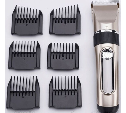 БЕРДСК Э.ЭМ.007АБ