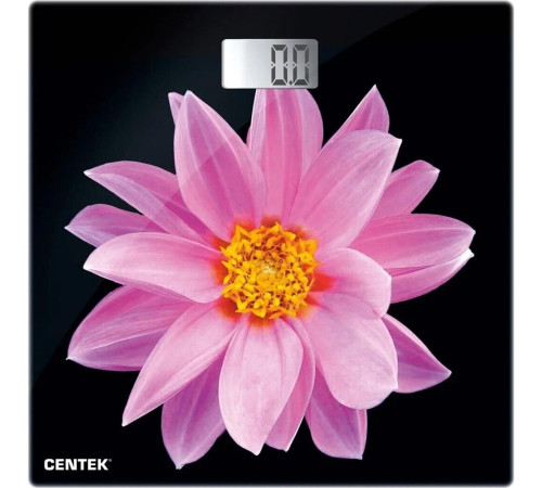 CENTEK CT-2416 Pink Flower