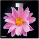 CENTEK CT-2416 Pink Flower