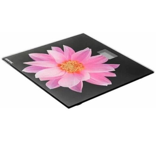 CENTEK CT-2416 Pink Flower