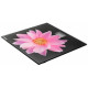 CENTEK CT-2416 Pink Flower