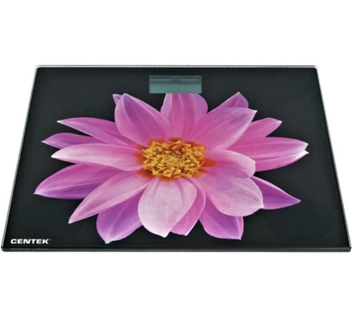 CENTEK CT-2416 Pink Flower