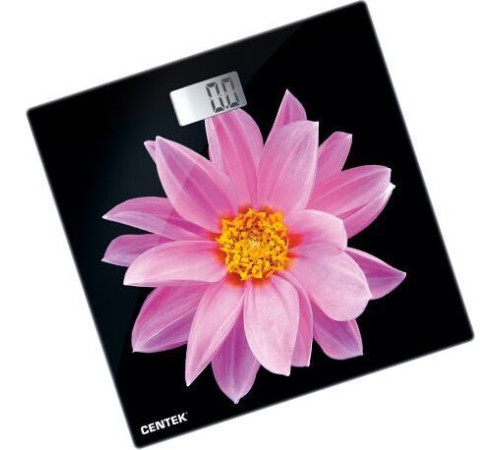 CENTEK CT-2416 Pink Flower