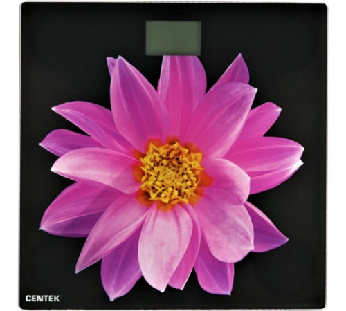 CENTEK CT-2416 Pink Flower
