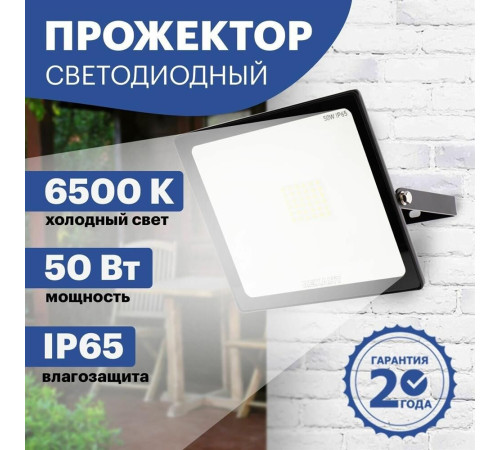 REXANT (605-004) 50 ВТ 200-260В IP65 4000 ЛМ 6500 K ХОЛОДНЫЙ СВЕТ