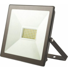 REXANT (605-004) 50 ВТ 200-260В IP65 4000 ЛМ 6500 K ХОЛОДНЫЙ СВЕТ