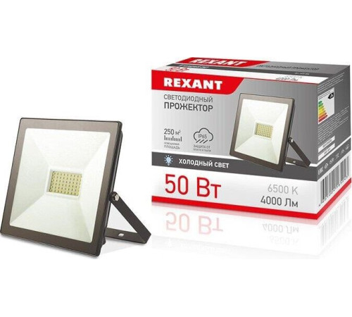 REXANT (605-004) 50 ВТ 200-260В IP65 4000 ЛМ 6500 K ХОЛОДНЫЙ СВЕТ