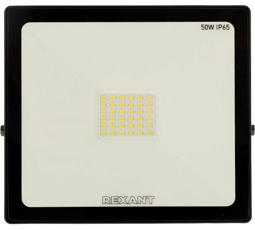 REXANT (605-004) 50 ВТ 200-260В IP65 4000 ЛМ 6500 K ХОЛОДНЫЙ СВЕТ