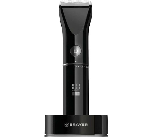 BRAYER BR3400