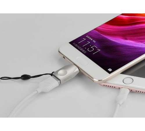 HOCO UA9 USB (m) - Type-C (m) - жемчужный никель