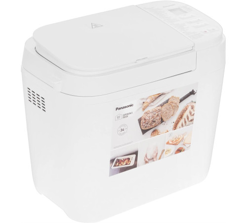 PANASONIC SD-R2520WTS