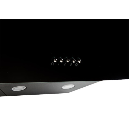 OASIS NP-50B черный