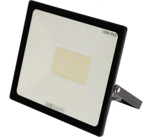 REXANT (605-005) 100 Вт 200-260В IP65 8000 лм 6500 K холодный свет