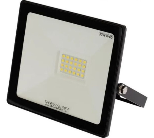 REXANT (605-003) 30 Вт 200-260В IP65 2400 лм 6500 K холодный свет