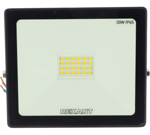 REXANT (605-003) 30 Вт 200-260В IP65 2400 лм 6500 K холодный свет