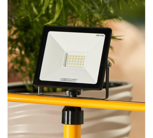 REXANT (605-003) 30 Вт 200-260В IP65 2400 лм 6500 K холодный свет