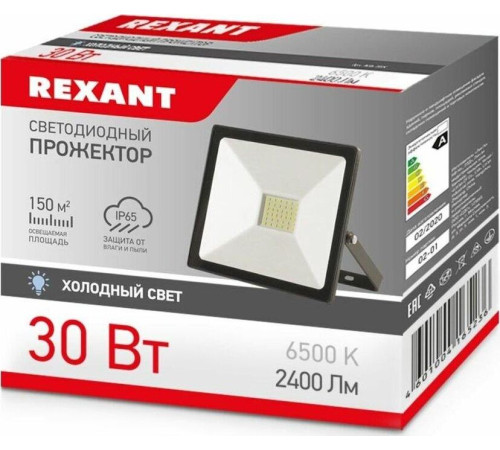 REXANT (605-003) 30 Вт 200-260В IP65 2400 лм 6500 K холодный свет