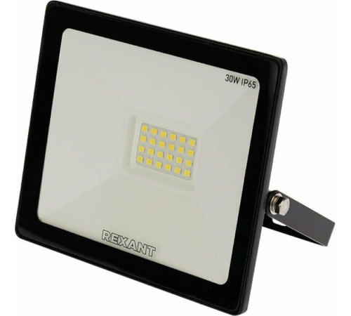 REXANT (605-003) 30 Вт 200-260В IP65 2400 лм 6500 K холодный свет