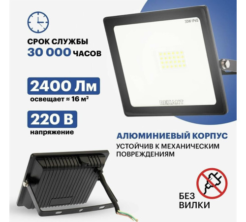 REXANT (605-003) 30 Вт 200-260В IP65 2400 лм 6500 K холодный свет