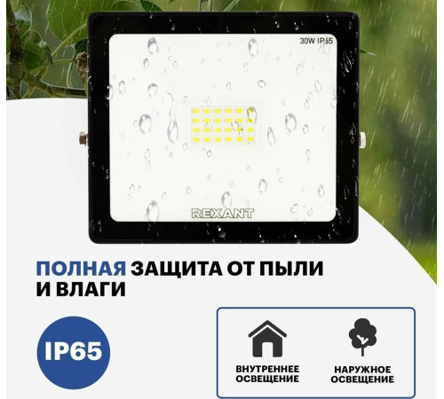 REXANT (605-003) 30 Вт 200-260В IP65 2400 лм 6500 K холодный свет