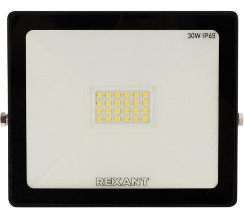REXANT (605-003) 30 Вт 200-260В IP65 2400 лм 6500 K холодный свет