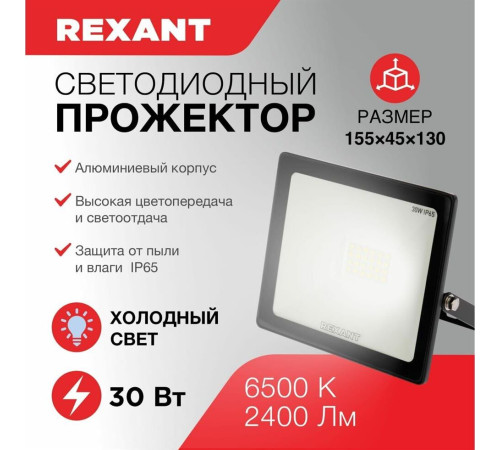 REXANT (605-003) 30 Вт 200-260В IP65 2400 лм 6500 K холодный свет